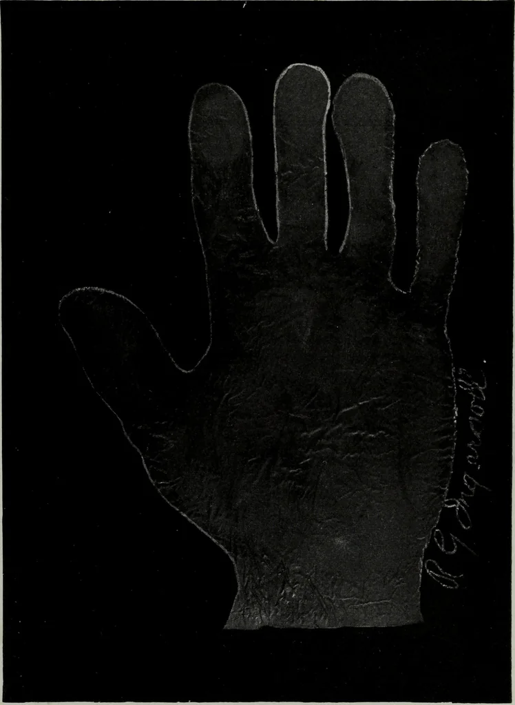An illustration from Perin's science of palmistry; a complete and authentic treatise, 1902, leaf 222