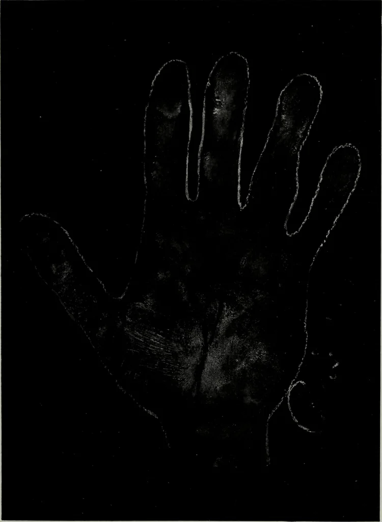 An illustration from Perin's science of palmistry; a complete and authentic treatise, 1902, leaf 224