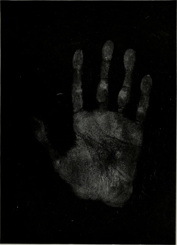 An illustration from Perin's science of palmistry; a complete and authentic treatise, 1902, leaf 234