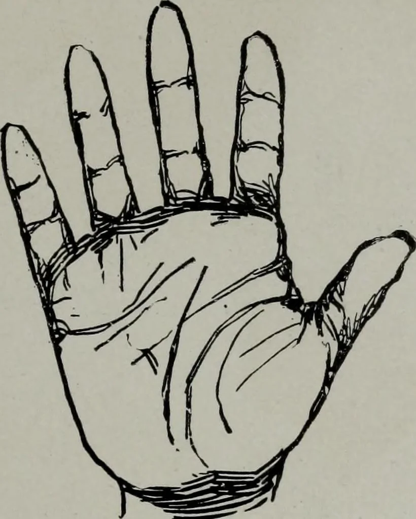 An illustration from Perin's science of palmistry; a complete and authentic treatise, 1902, leaf 246