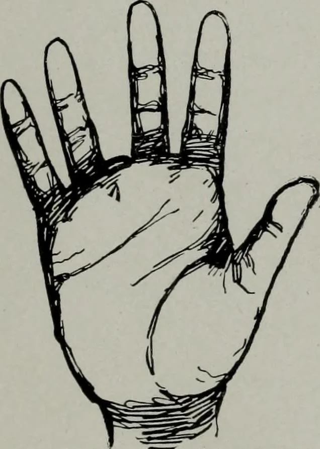 An illustration from Perin's science of palmistry; a complete and authentic treatise, 1902, leaf 246