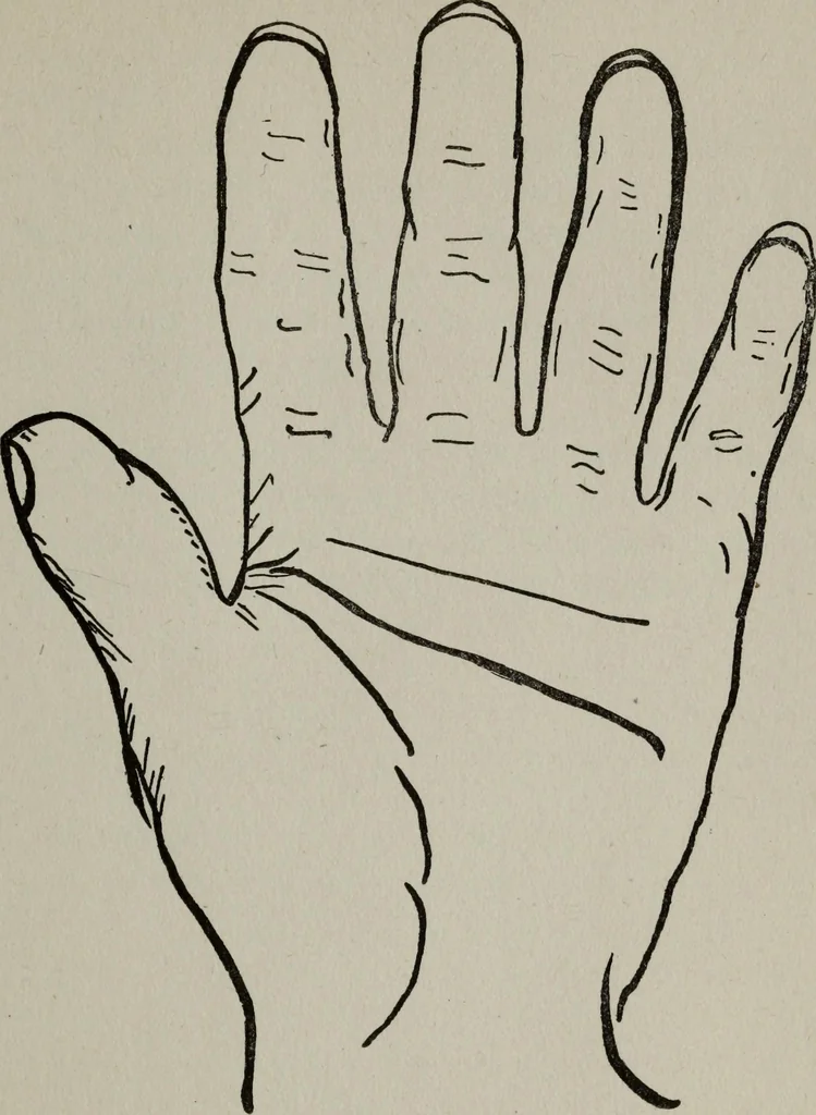 An illustration from Perin's science of palmistry; a complete and authentic treatise, 1902, leaf 38