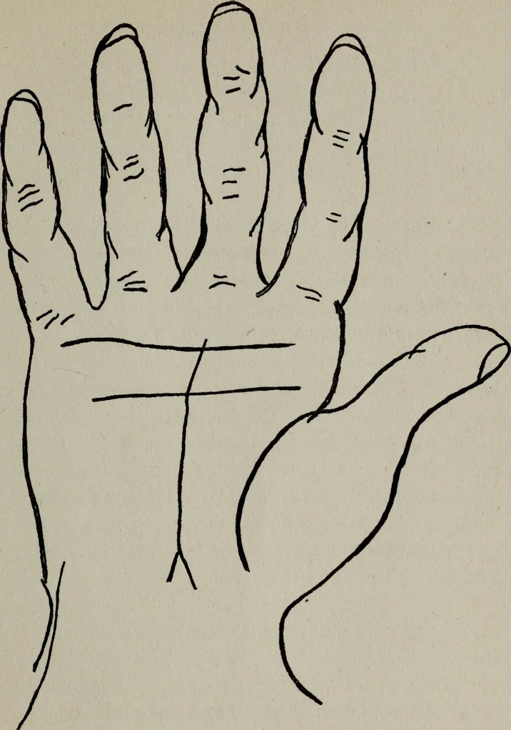 An illustration from Perin's science of palmistry; a complete and authentic treatise, 1902, leaf 50