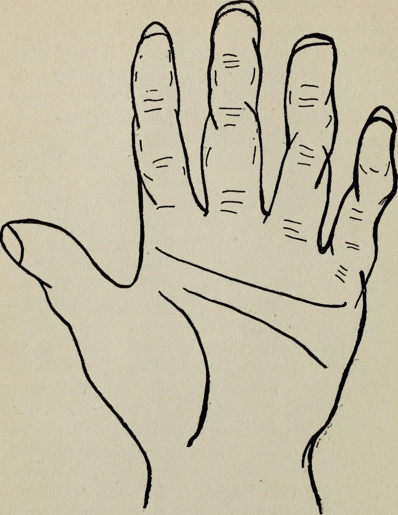 An illustration from Perin's science of palmistry; a complete and authentic treatise, 1902, leaf 59