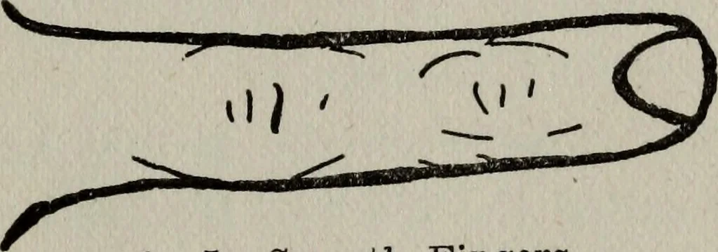 An illustration from Perin's science of palmistry; a complete and authentic treatise, 1902, leaf 64