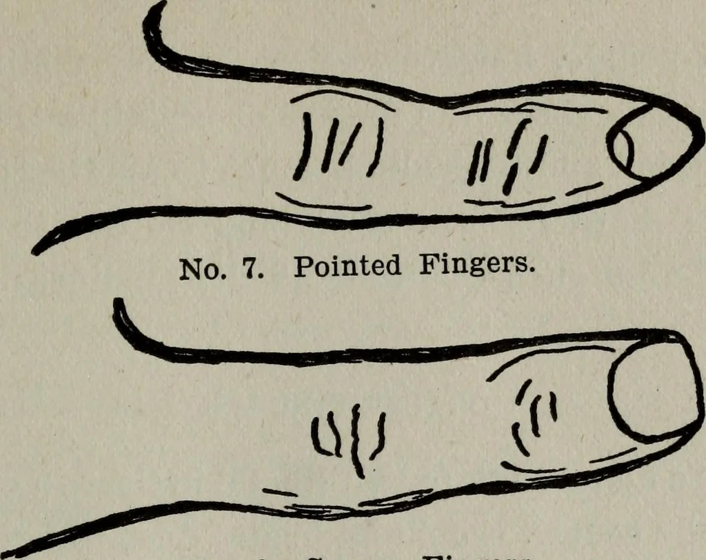 An illustration from Perin's science of palmistry; a complete and authentic treatise, 1902, leaf 68