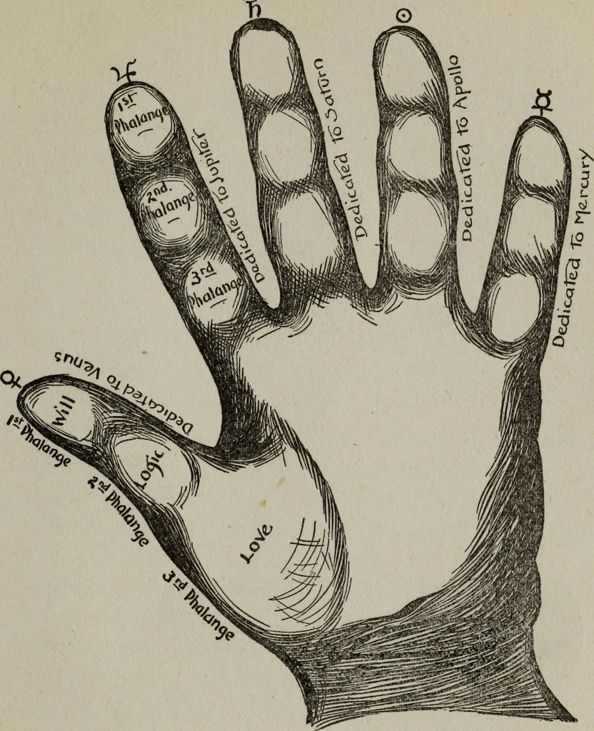 An illustration from Perin's science of palmistry; a complete and authentic treatise, 1902, leaf 72