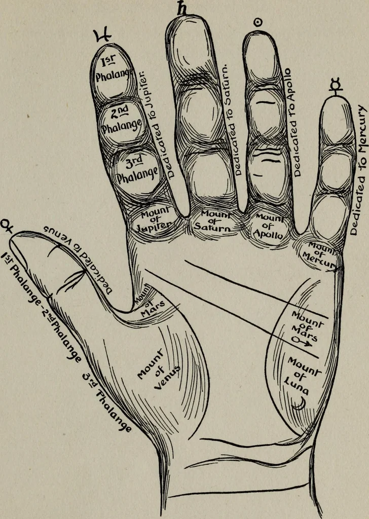 An illustration from Perin's science of palmistry; a complete and authentic treatise, 1902, leaf 92