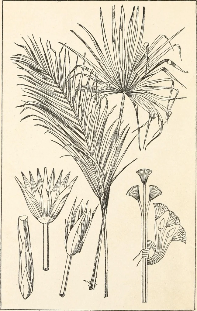 An illustration from Period decoration, 1901, leaf 23