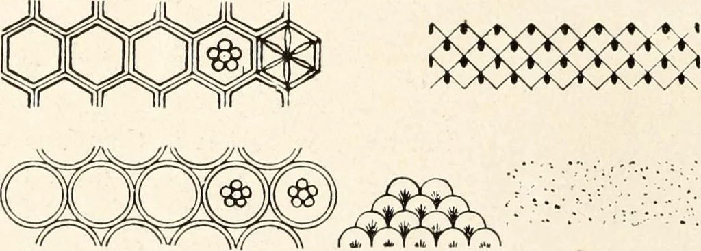 An illustration from Period decoration, 1901, leaf 71