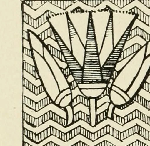 An illustration from Period decoration, 1901, leaf 25