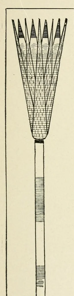 An illustration from Period decoration, 1901, leaf 28