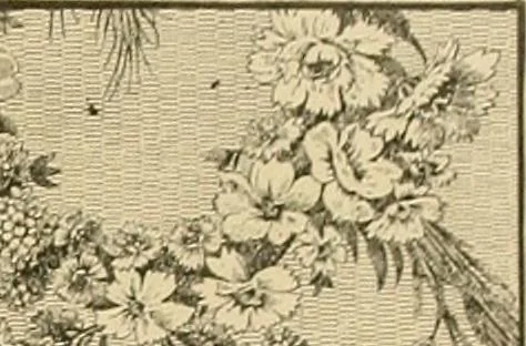 An illustration from Period furnishings; an encyclopedia of historic furniture, decorations and furnishings, 1911, leaf 160