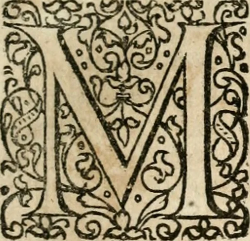 An illustration from Peripateticus nostri temporis, seu, Philosophus discursivus : in biennali cursu, per discursus symbolico-physicos, ad discursum, juxta sanctorum philosophorum exempla, piè curiosum instructus .., 1724, leaf 210