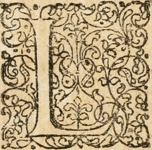 An illustration from Peripateticus nostri temporis, seu, Philosophus discursivus : in biennali cursu, per discursus symbolico-physicos, ad discursum, juxta sanctorum philosophorum exempla, piè curiosum instructus .., 1724, leaf 369