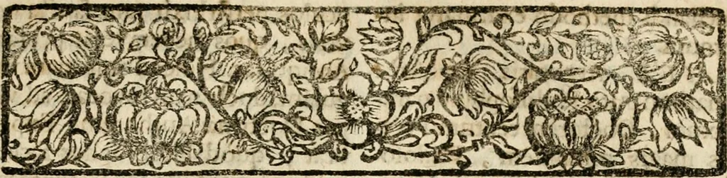 An illustration from Peripateticus nostri temporis, seu, Philosophus discursivus : per discursus symbolico-physicos, ad discursum, juxta sanctorum philosophorum exempla, pie curiosum instructus, 1755, leaf 222