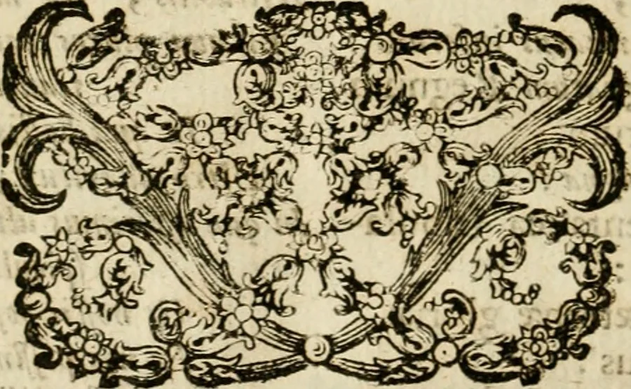 An illustration from Peripateticus nostri temporis, seu, Philosophus discursivus : per discursus symbolico-physicos, ad discursum, juxta sanctorum philosophorum exempla, pie curiosum instructus, 1755, leaf 301