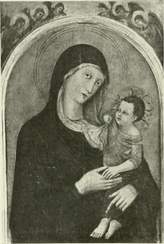 An illustration from Pérouse, 1914, leaf 101