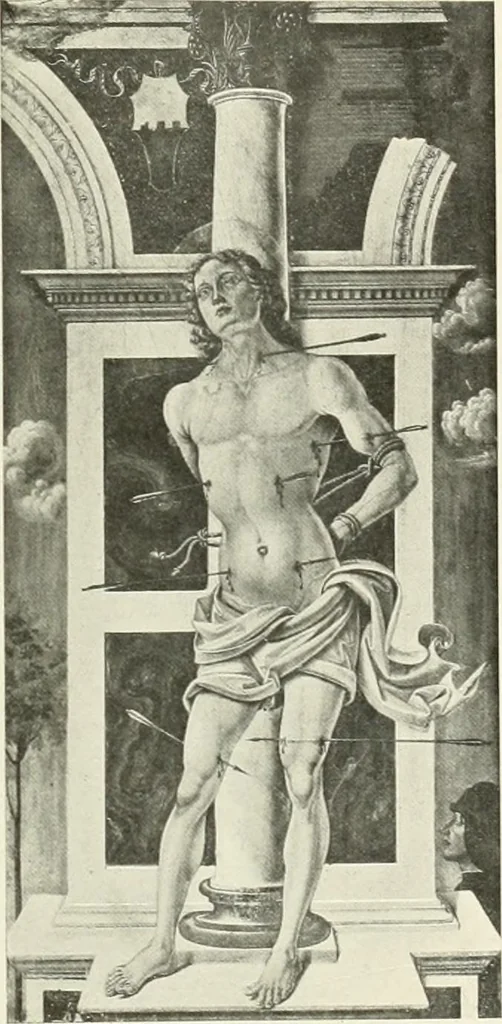An illustration from Pérouse, 1914, leaf 114