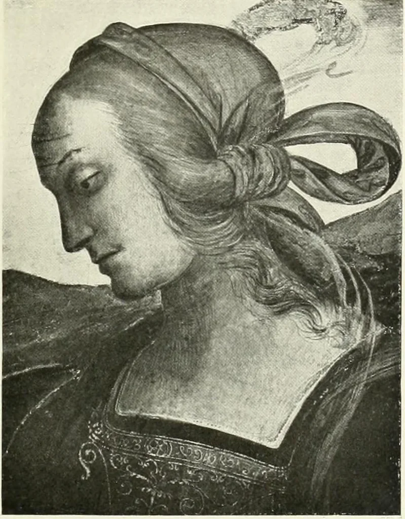 An illustration from Pérouse, 1914, leaf 128