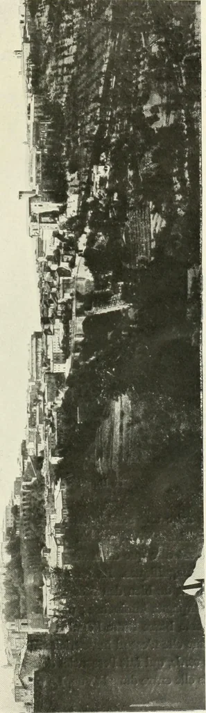 An illustration from Pérouse, 1914, leaf 14