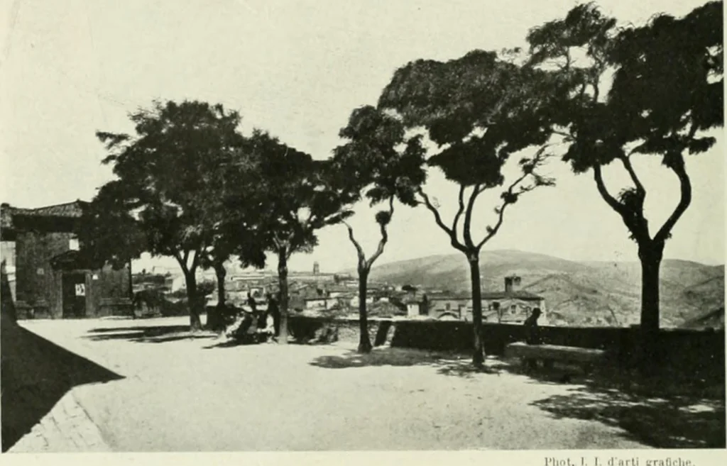 An illustration from Pérouse, 1914, leaf 17