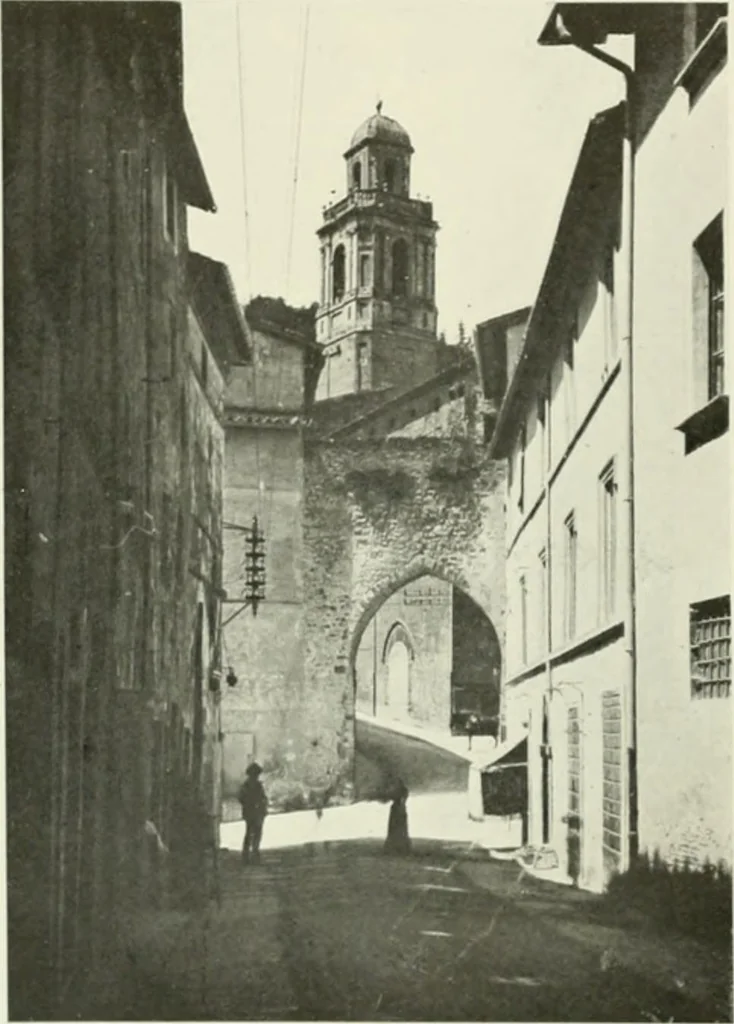 An illustration from Pérouse, 1914, leaf 19