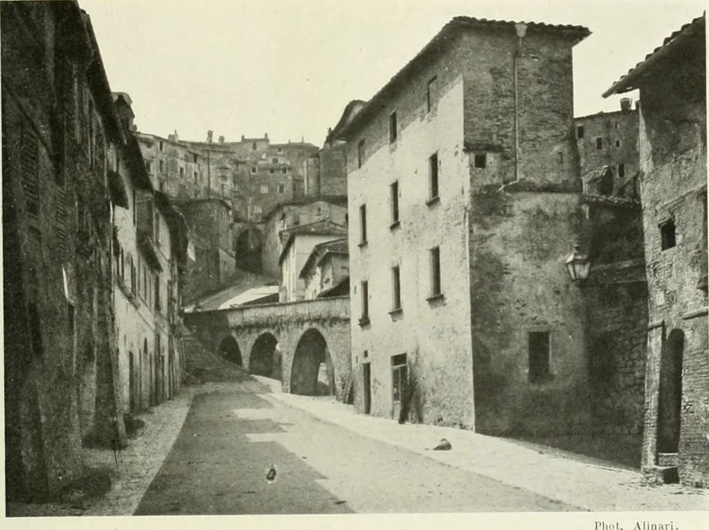 An illustration from Pérouse, 1914, leaf 20
