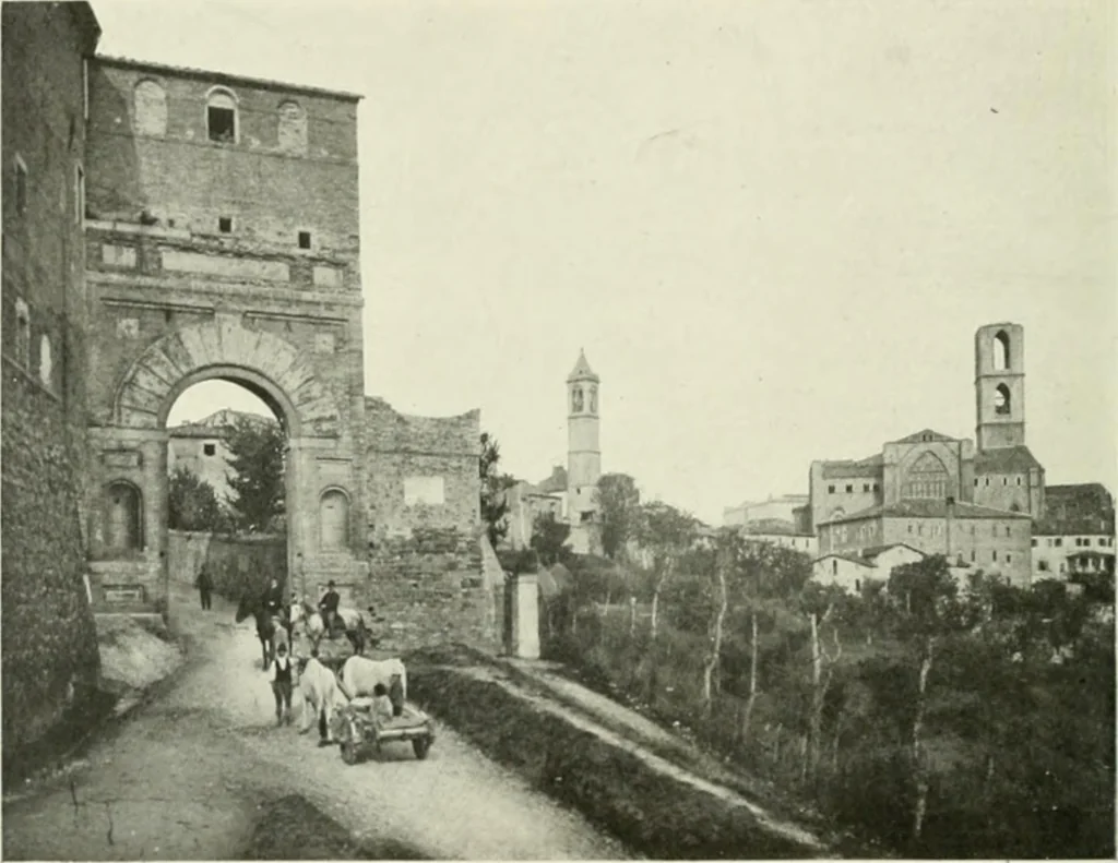 An illustration from Pérouse, 1914, leaf 23