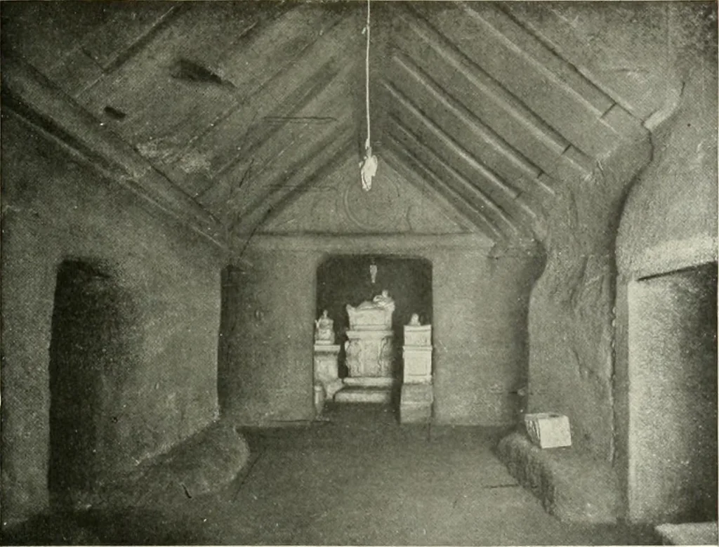 An illustration from Pérouse, 1914, leaf 28