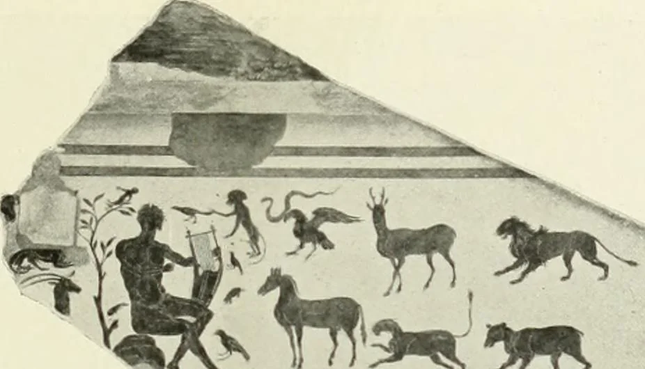 An illustration from Pérouse, 1914, leaf 32
