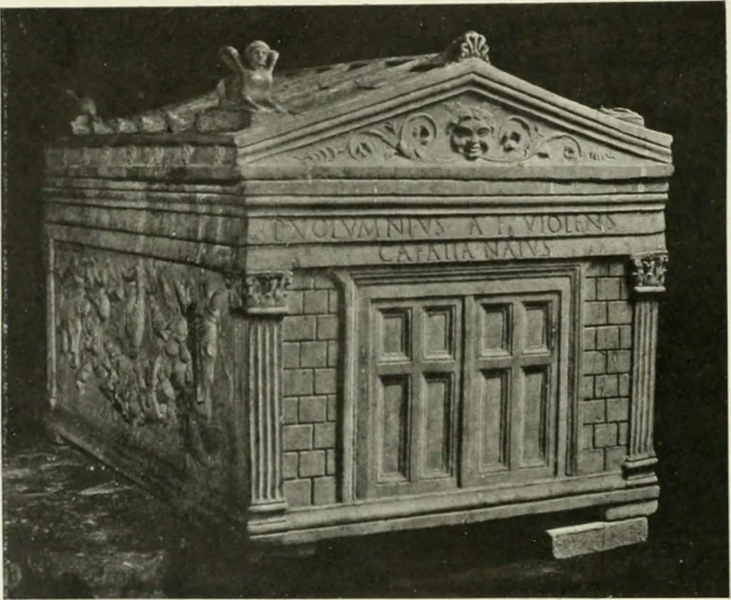 An illustration from Pérouse, 1914, leaf 33