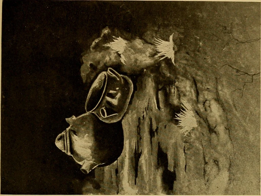 An illustration from Persia past and present; a book of travel and research, with more than two hundred illustrations and a map, 1906, leaf 198