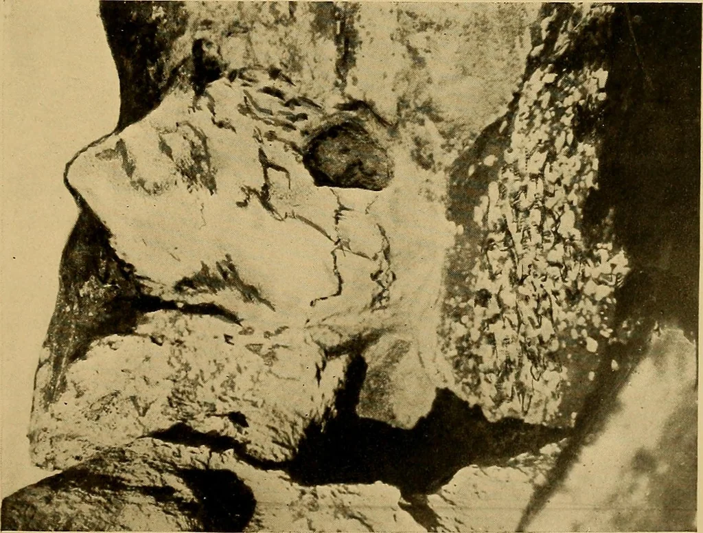An illustration from Persia past and present; a book of travel and research, with more than two hundred illustrations and a map, 1906, leaf 198