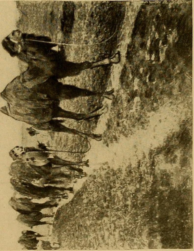 An illustration from Persia past and present; a book of travel and research, with more than two hundred illustrations and a map, 1906, leaf 222
