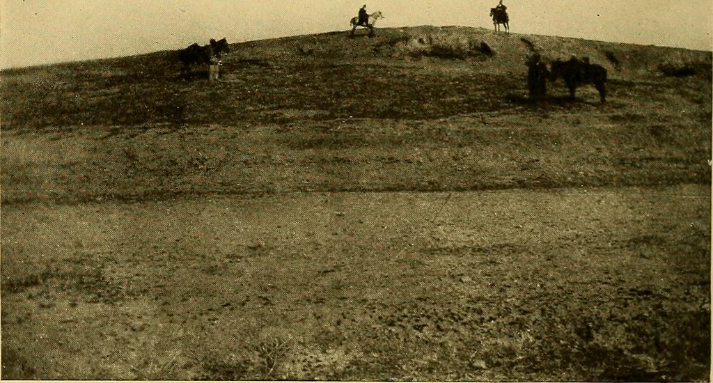 An illustration from Persia past and present; a book of travel and research, with more than two hundred illustrations and a map, 1906, leaf 233