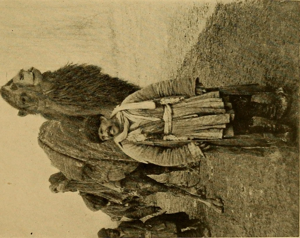 An illustration from Persia past and present; a book of travel and research, with more than two hundred illustrations and a map, 1906, leaf 242