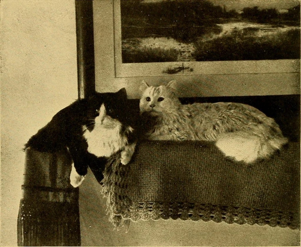 An illustration from Persia past and present; a book of travel and research, with more than two hundred illustrations and a map, 1906, leaf 283