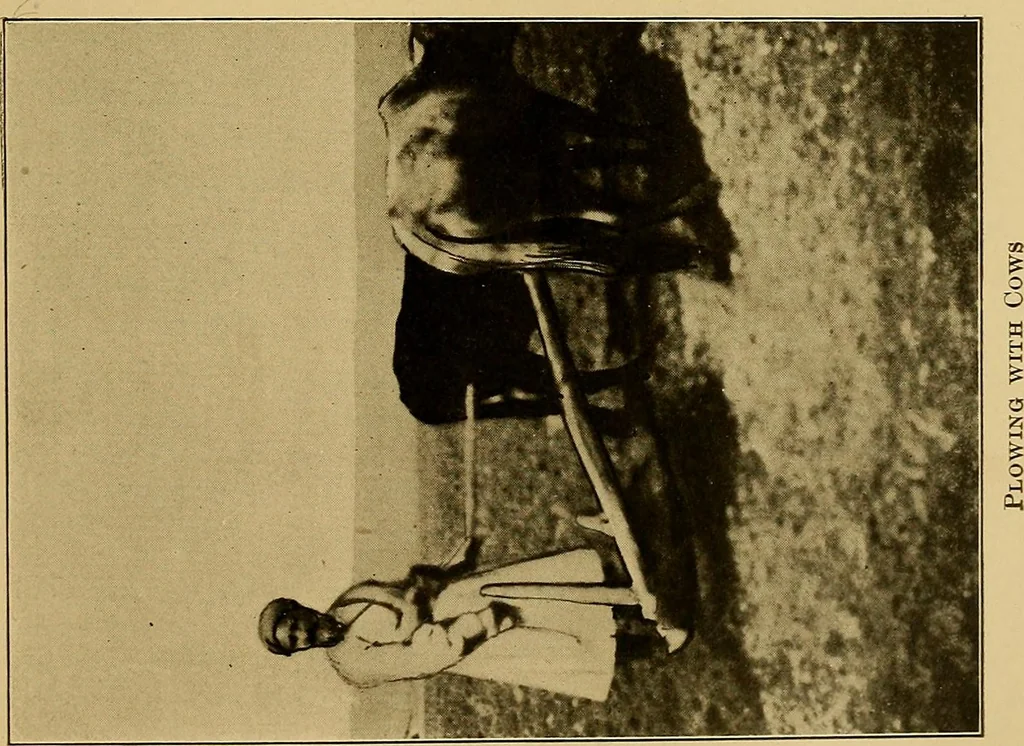 An illustration from Persia past and present; a book of travel and research, with more than two hundred illustrations and a map, 1906, leaf 430
