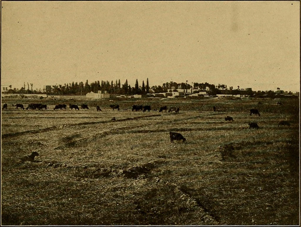 An illustration from Persia past and present; a book of travel and research, with more than two hundred illustrations and a map, 1906, leaf 566