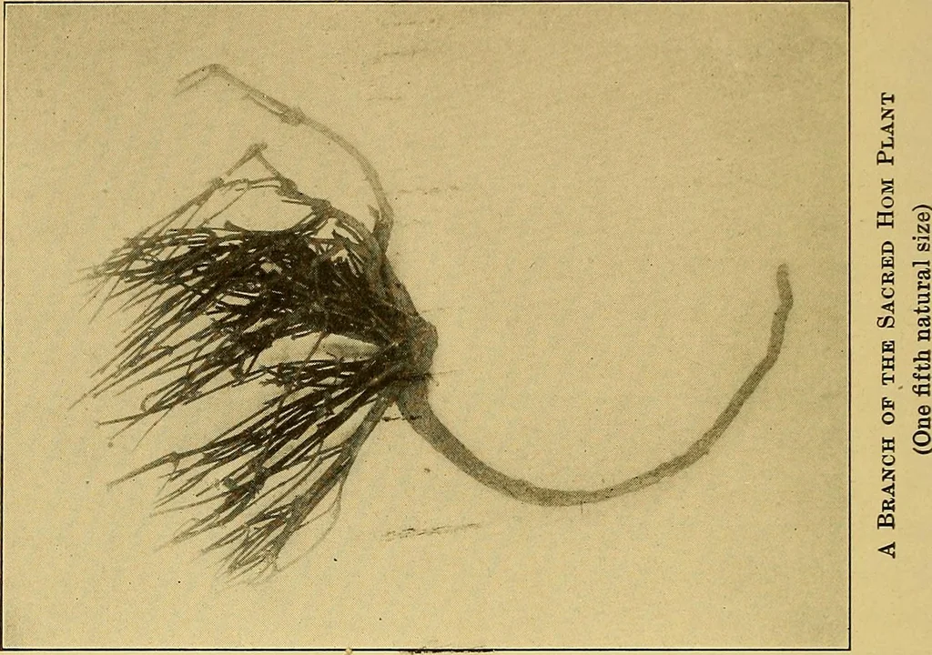 An illustration from Persia past and present; a book of travel and research, with more than two hundred illustrations and a map, 1906, leaf 647