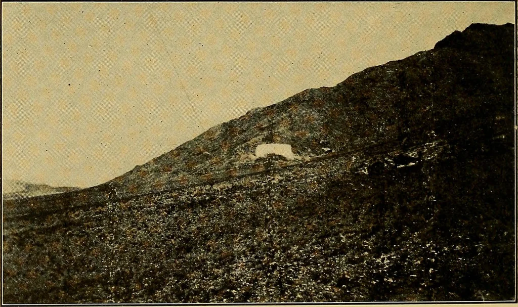 An illustration from Persia past and present; a book of travel and research, with more than two hundred illustrations and a map, 1906, leaf 667