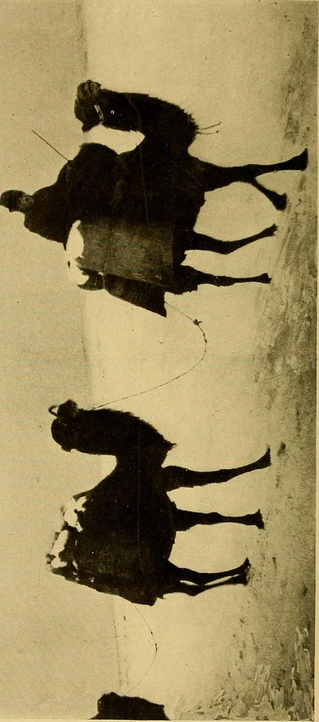An illustration from Persia past and present; a book of travel and research, with more than two hundred illustrations and a map, 1906, leaf 81