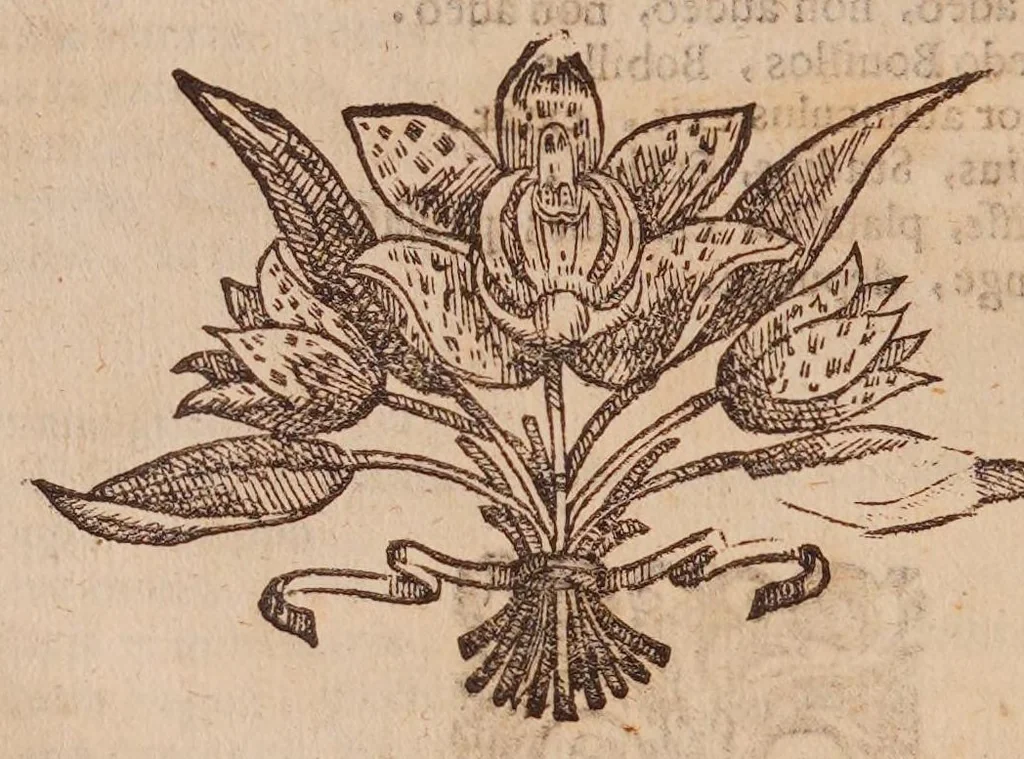 An illustration from Persio, tradotto in verso sciolto e dichiarato, 1630, leaf 266