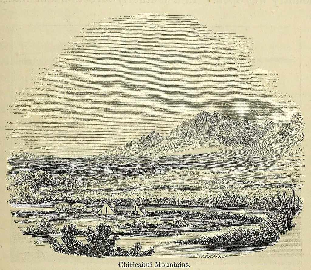 An illustration from Personal narrative of explorations and incidents in Texas, New Mexico, California, Sonora, and Chihuahua : connected with the United States and Mexican Boundary Commission, during the years 1850, '51, '52, and '53, 1854, leaf 421
