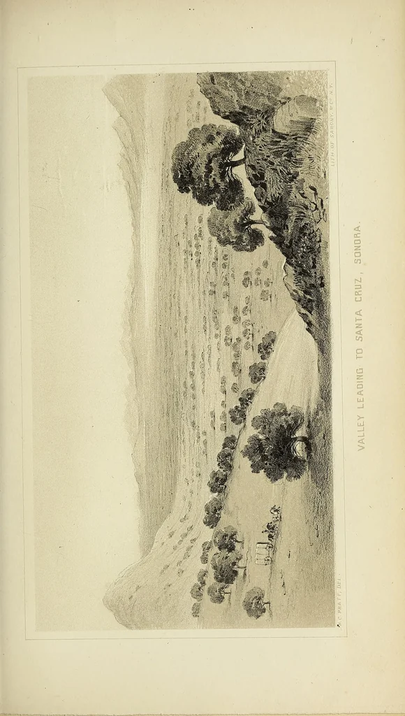 An illustration from Personal narrative of explorations and incidents in Texas, New Mexico, California, Sonora, and Chihuahua : connected with the United States and Mexican Boundary Commission, during the years 1850, '51, '52, and '53, 1854, leaf 457