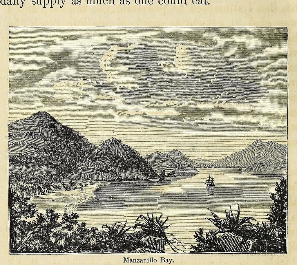 An illustration from Personal narrative of explorations and incidents in Texas, New Mexico, California, Sonora, and Chihuahua : connected with the United States and Mexican Boundary Commission, during the years 1850, '51, '52, and '53, 1854, leaf 562