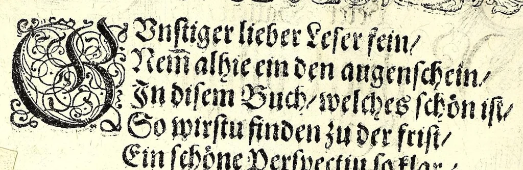 An illustration from Perspectiuische Reiss Kunst, 1625, leaf 6