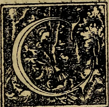 An illustration from Perspectiva commvnis : ideo sic dicta, quod contineat elementa tes optikes, omnibus philosophiæ studiosis necessaria : in hac enim doctrina inchoatæ disputatioes philosophoru, de natura, & proiectione radiorum unisus, luminum, colorum & formarum absoluuntur : in quibus & de speculis tractatur : summa cura & dilgentia emendata, & ab infinitis quibus scatebat mendis repurgata, necnon in quibus deficiebat demõstrationibus restituta, 1542, leaf 12
