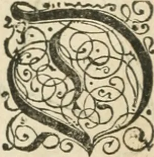 An illustration from Perspectiva; hierinnen auffs kürtzte beschrieben, mit Exempeln eröffnet vnd an Tag gegeben wird, ein newer besonder kurtzer, doch gerechter vnnd sehr leichter Weg, wie allerley Ding, es seyen Corpora, Gebew, oder was möglich zuerdencken vnd in Grund zulegen ist, verruckt oder vnuerruckt, frener in die Perspectyf gebracht werden mag, on einige vergebliche Linie, riss vñ Puncten, [et]c. dergleichen Weg bisshero noch nit bekant gewesen, 1571, leaf 13